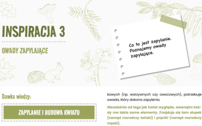 3. Leśna inspiracja – marzec